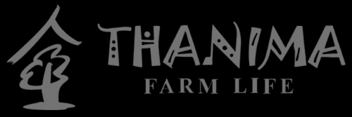 LOGO DESIGN (4)